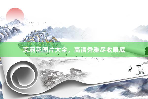 茉莉花图片大全，高清秀雅尽收眼底