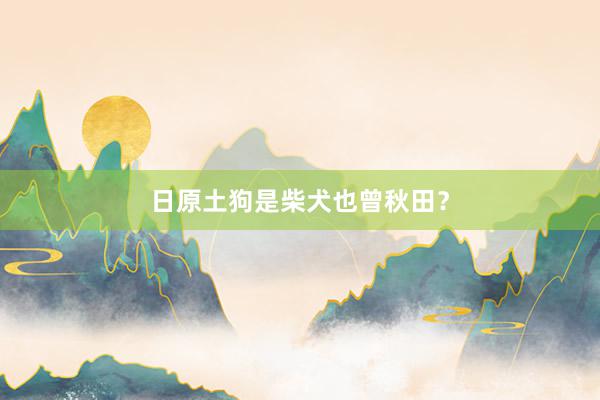 日原土狗是柴犬也曾秋田？